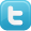 Twitter Icon